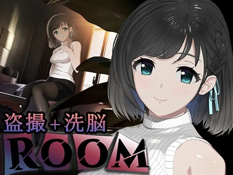 ROOM ROOM游戏论坛存档备份流程整理 封面图